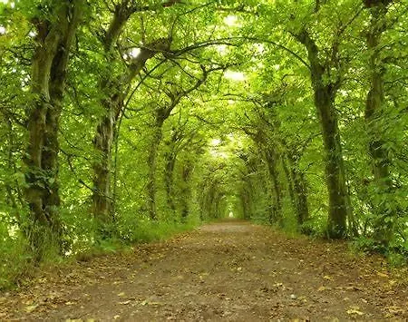 Au Repos De La Redoute *