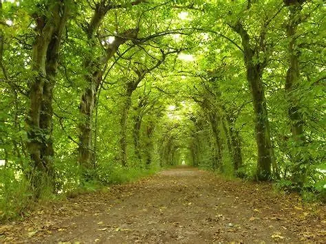 Au Repos De La Redoute *