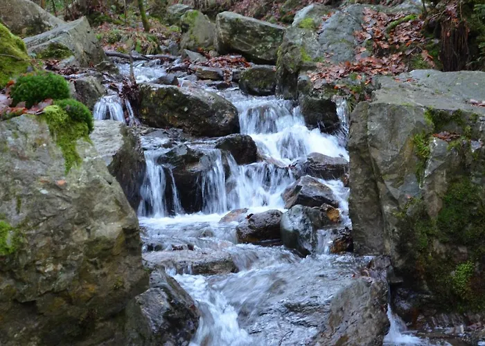 Au Repos De La Redoute *